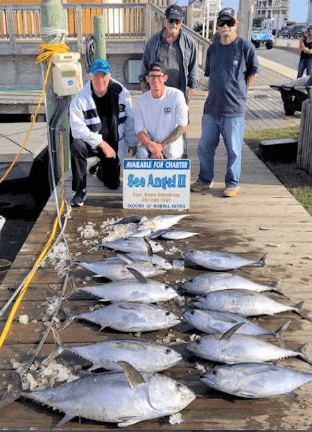 Charter group with large catch of Cape Hatteras tuna.